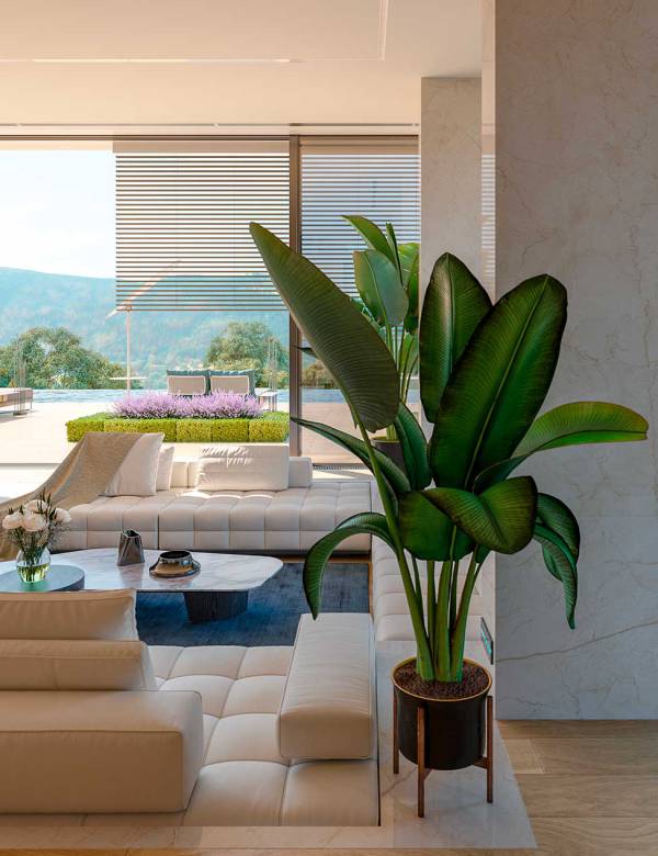 img-home-interno